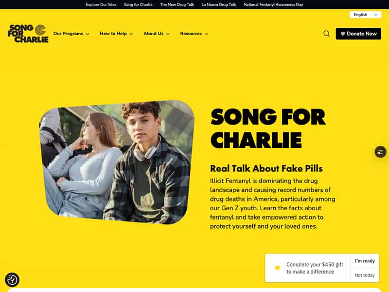 Song For Charlie - Image 1
